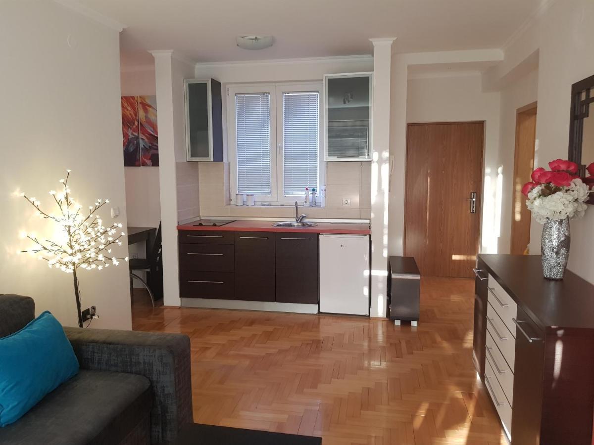Rajiceva 5- Apartman Sa Prostranom Terasom I Garaznim Mestom Κραγκούγιεβατς Εξωτερικό φωτογραφία